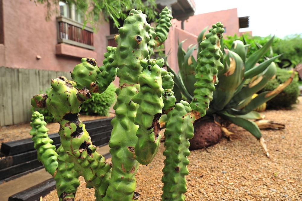 Hilton Vacation Club Rancho Manana Hotel Cave Creek Exterior foto